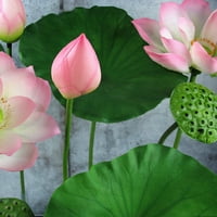 Set lažnog Lotus Bud umjetnog lotosa sjemena sa matenom baštom ukrasom