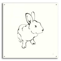 Epic Art 'Line Bunny II' Chris Paschke, akrilna staklena zida Art, 36 x36