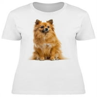 Chihuahua, sjedeće majice žene -image by shutterstock, ženska XX-velika