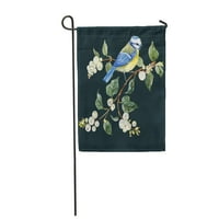 Vodena pločica i ptica Chickeberry Grant Whine Werries Vermillion Titbouse Garden Zastava Dekorativna