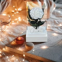 Loopsun Jesen ukrasi za dom Real Rose akril Vječni cvijet zauvijek lijepa ljubav ručno rađeni poklon