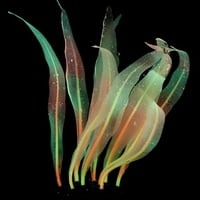 Pejzažne umjetne biljke lažne postrojenja Kelp ornament Rezervoar za simulaciju za simulaciju akvarijskih