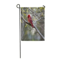 Šareno Crveno Robin Poznata ptica iz Virginia Beak Birking Garden Zastava za zastavu Dekorativna zastava