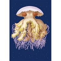 Kupite veću 0-587-17013-1p Astro-Jellyfish - Paper veličine P20X30