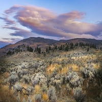 Planina Big Sagebrush u Sunrise-Lamar Valley-Yellowstone National Park-Wyoming Print Print - Adam Jones