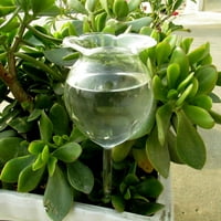 Kontejner za terariju sa platnim saksijem viseće staklo za hidroponske biljke Početna Garden Decoc