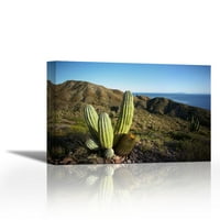 Cardon Cactus u suhom Arroyo, More Corteza, Baja California, Meksiko - Savremena likovna umjetnost Giclee
