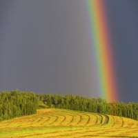 Rainbow se pojavljuje preko svježe raširenog polja sijena; Delta Junction, Aljaska, Sjedinjene Američke