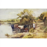 Vintage čestitka sa ilustracijom mlijeka pored krava u potoku iz 19. veka. Ispis - unutra. - Veliki