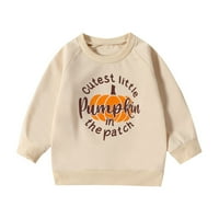 Dječji dječaci Dukseri Crew Crt Crt Dugi rukav Raglan Pumpkins Print Pulover Mekani povremeni džemperi Veličina 12-18m