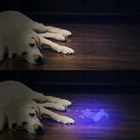 UV crna lampica sa LED-om, detektor mokraće kućne ljubimce za sušene mrlje od vaših pasa, mačaka i glodara