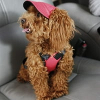 SweetCandy Pet za zaštitu od sunca HATS Multi uzorak opcionalni za pse Štenad bejzbol kapa sa rupama