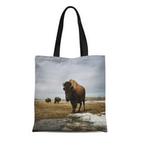 Platnena torba od moguće torije Trgovine Trgovinske vrećice Brown Bull Bison na prerija Kanada Manitoba