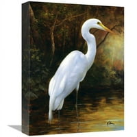 In. večernji egret Art Print - Kilian