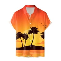 FSQJGQ Tropske tiskane majice Havajska majica kratkih rukava za muškarce Ležerne tipke Down Bluza Ljetna