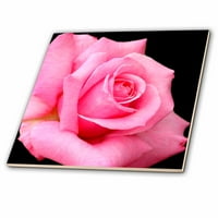 3drose ružičasta ruža - keramička pločica