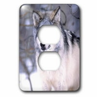 3drose Wolf Wolf, Canis Lupus - Na DNO - David Northcott - Priključak za utikač