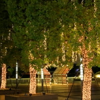 Vanjski božićni LED lagani niz zvjezdanih ukrasa svjetlosnog žica za karnevalske stranke modna vodootporna