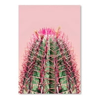 AmericanFlat Cactus na ružičastoj II by Emanuela Carratoni Poster Art Print