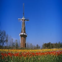 Tradicionalna vjetrenjača u polju Tulip, Holandija, Michigan, USA Poster Print