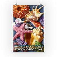 Wrightsville Beach, Sjeverna Karolina - Montaža školjka - Lantern Press poster