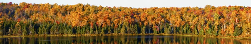 Panorama drveća uz ivicu vode u jesenjim bojama; Južni Bolton, Quebec, Kanada Poster Print