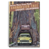 Šazer drvo, pogon kroz park Thru Tree, Leggett, Kalifornija, automobil