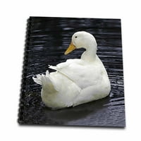 3drose bijela pekin patka - Memorijska knjiga, prema
