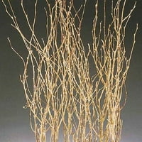 Zlatne obojene breze od breze 3 stopala visoka stabljika po gomili - Slučaj groma