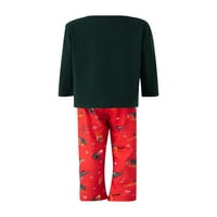 Multitraust Porodična oprema Pajamas Outfits, crtani dugi rukav Dinosaur tiskani vrhovi + elastični