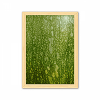 Zelena pucnjava Peel makro fotografija uzorci Dekorativni drveni slikanje Naslovnica Dekoracija Frame